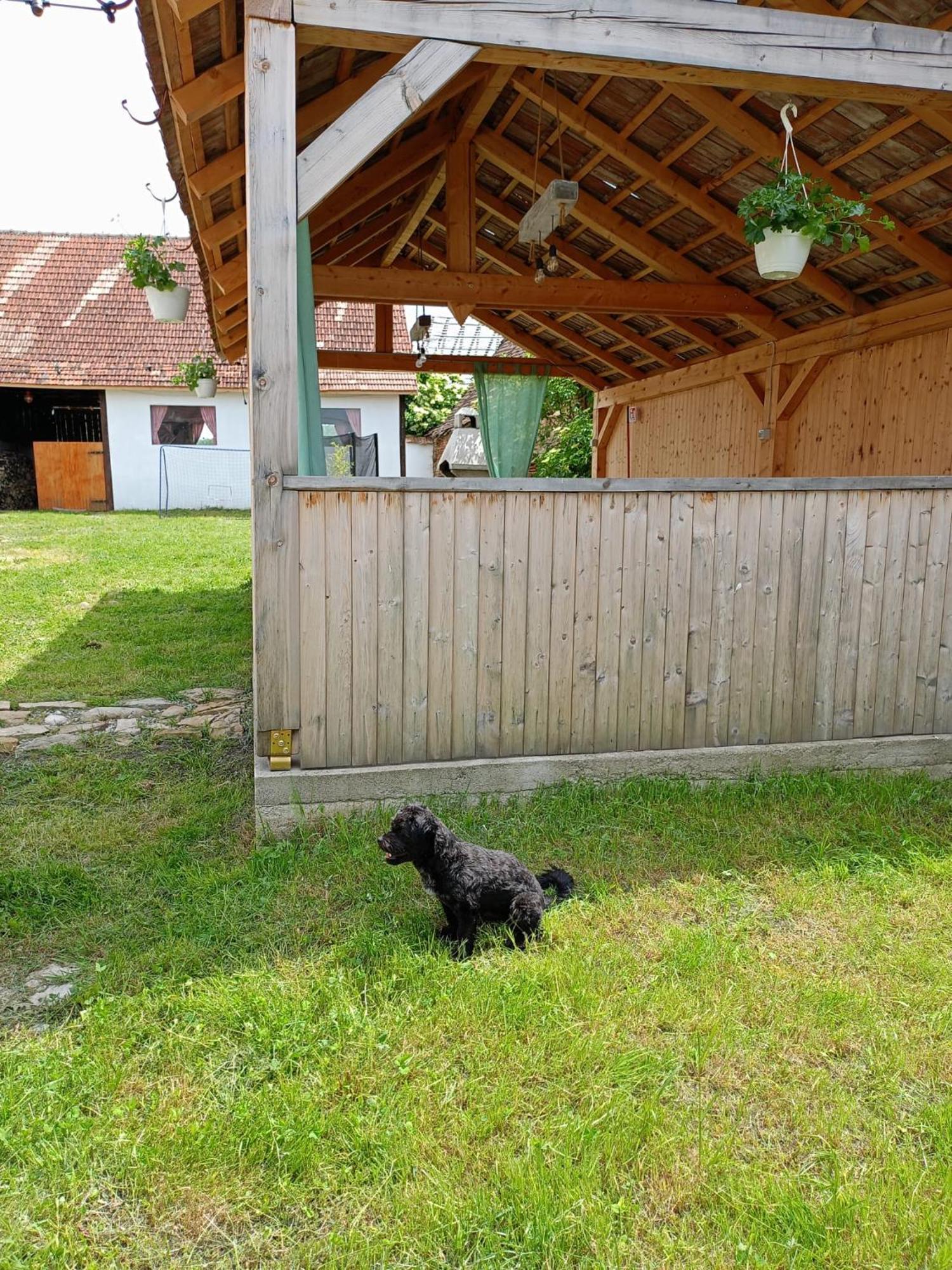 Chalet Giuel Hotel Barcut Exterior photo